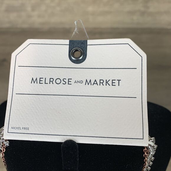 Melrose and Market Silver Rose Gold Dual Layer Chain Necklace Nickel Free NWT - Picture 4 of 6